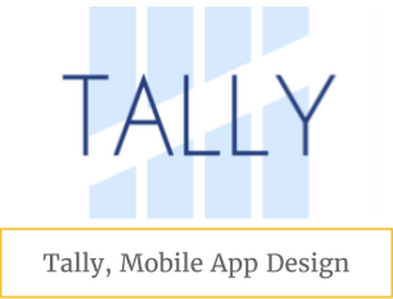 Tally Case Study